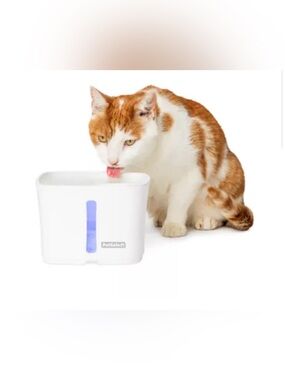 PetSafe® Viva Pet Water Fountain - 1.8L/64 oz - Filters Included